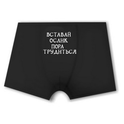 Old school логотип, магазин футболок с надписями в Благовещенске, прикольные футболки в Перми, прикольные футболки на заказ в Майкопе, футболка охраняется мужем, мужские размеры футболок
